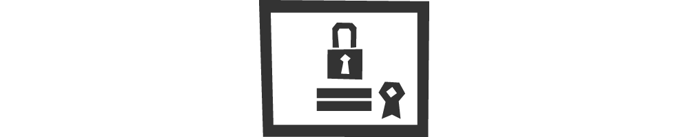 Standard SSL Single Domain