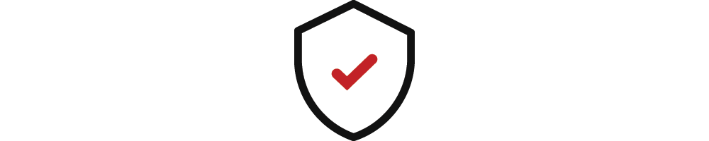 Website Security Essential